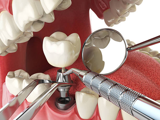 Best Emergency Orthodontic Repairs in East Highland Park, VA